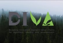 DIVA Project