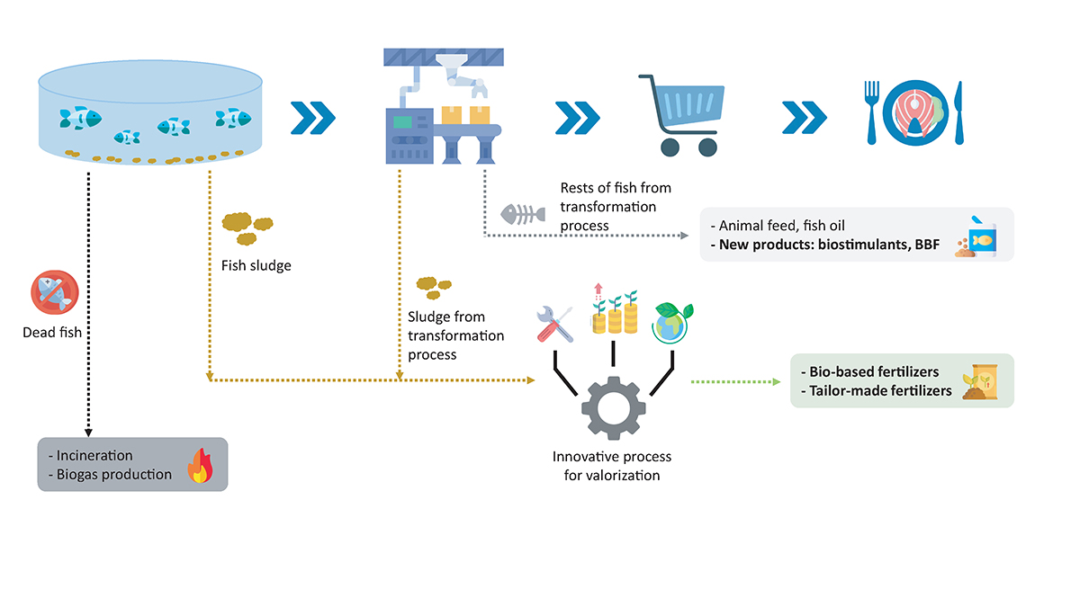 aquaculture sector, bioeconomy