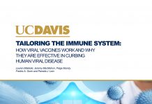 viral vaccines, viral disease