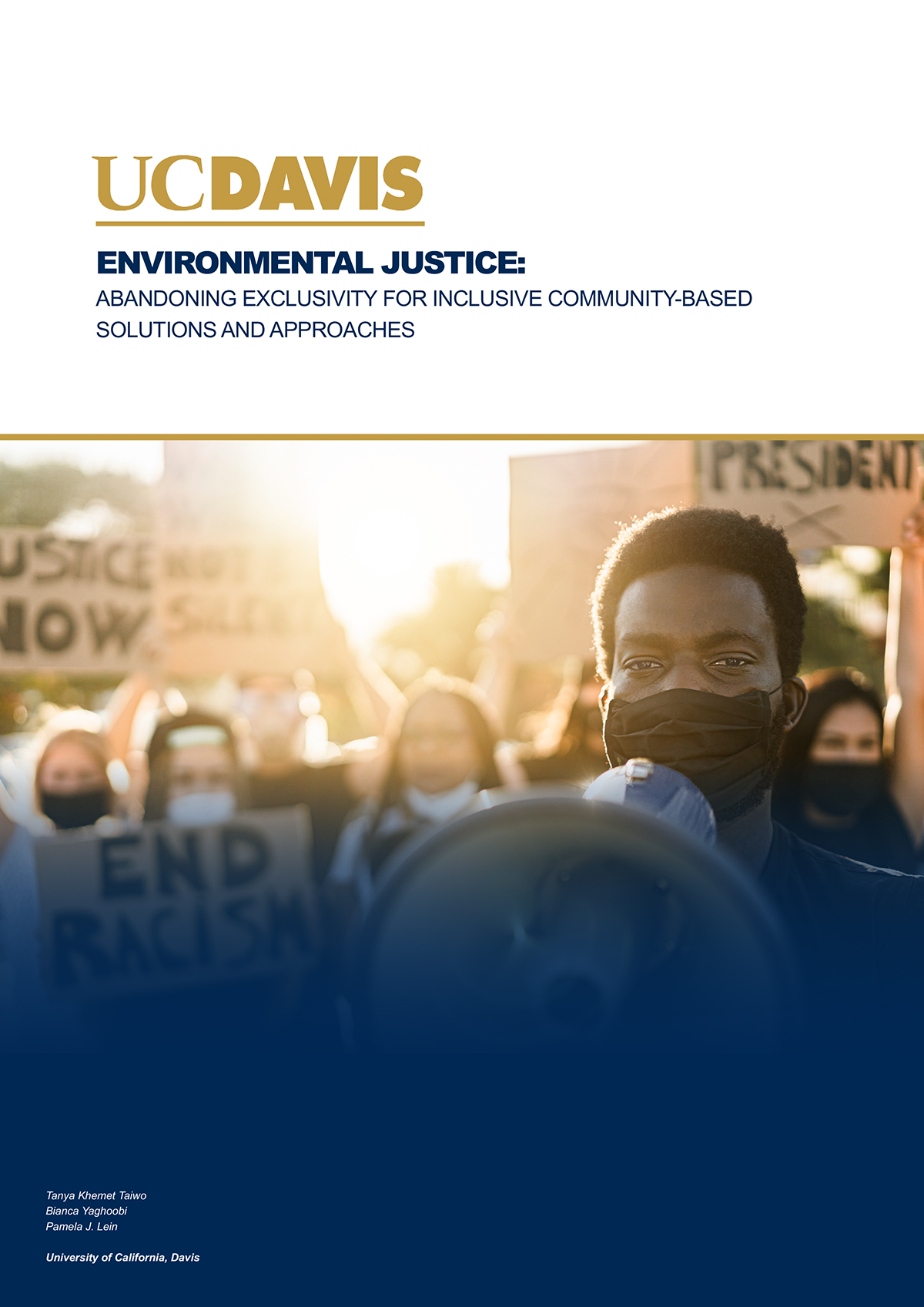 environmental justice, african american