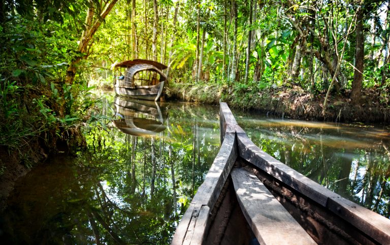 legal mining areas, rainforest