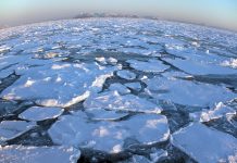 summertime arctic ocean, arctic ocean