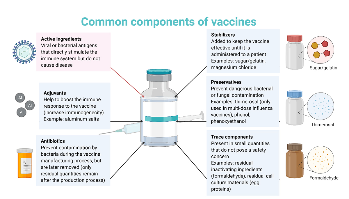 Figure 3 - Common components of vaccines