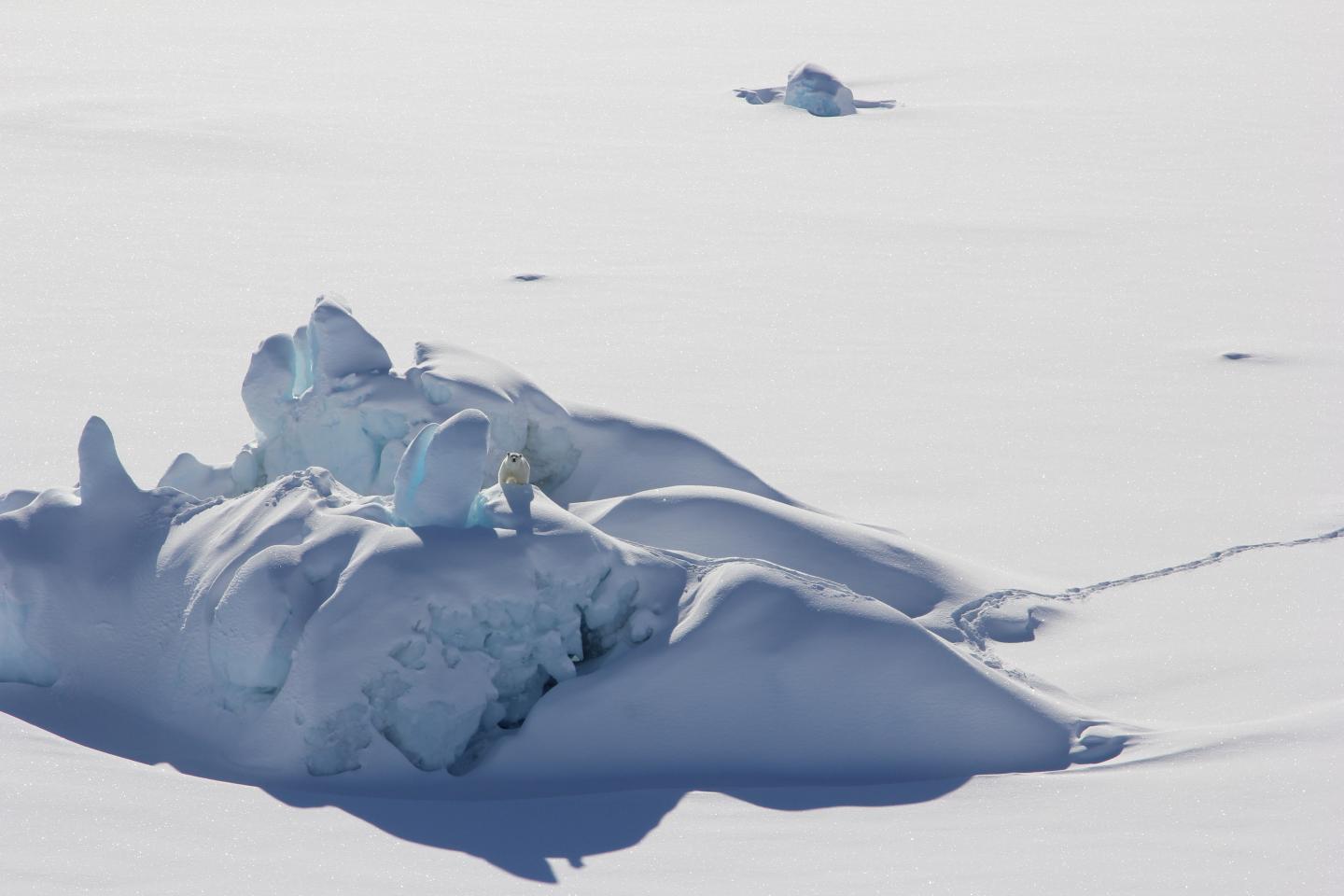 summertime arctic ocean, arctic ocean