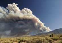 wildfire smoke exposure, premature births