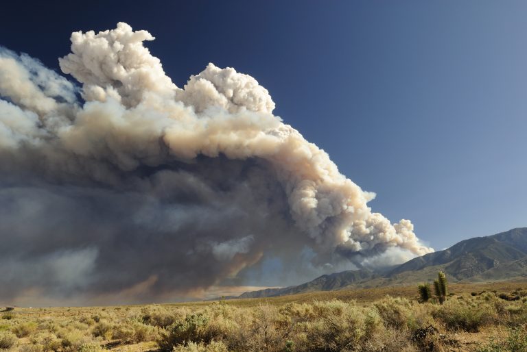 wildfire smoke exposure, premature births