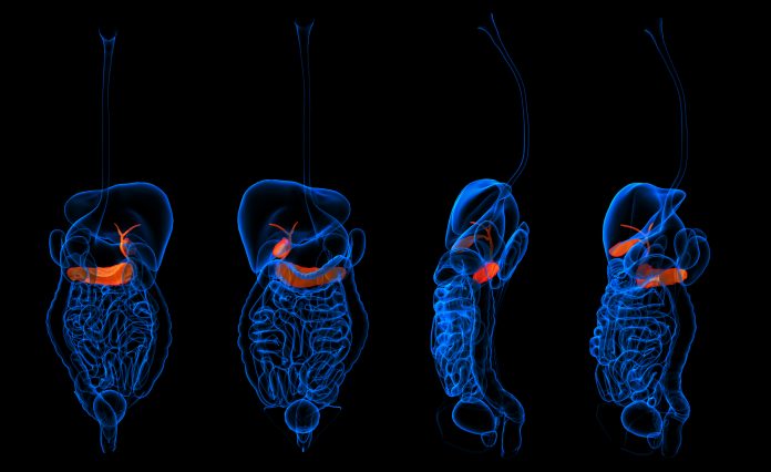 artificial pancreas, type 2 diabetes