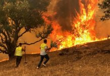 wildfires northern algeria, climate