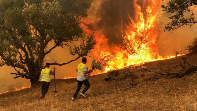 wildfires northern algeria, climate