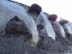 ice-frost permafrost deposits, arctic research