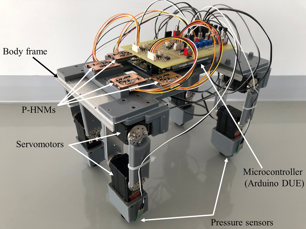 make out depth Identify Quadruped robot system with animal like actions