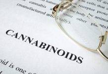 cannabinoids in epilepsy