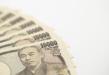 corporate governance in japan, eSG investment