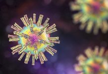 viruses cure cancer