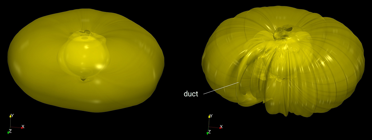 plasmasphere, ionosphere bubbles