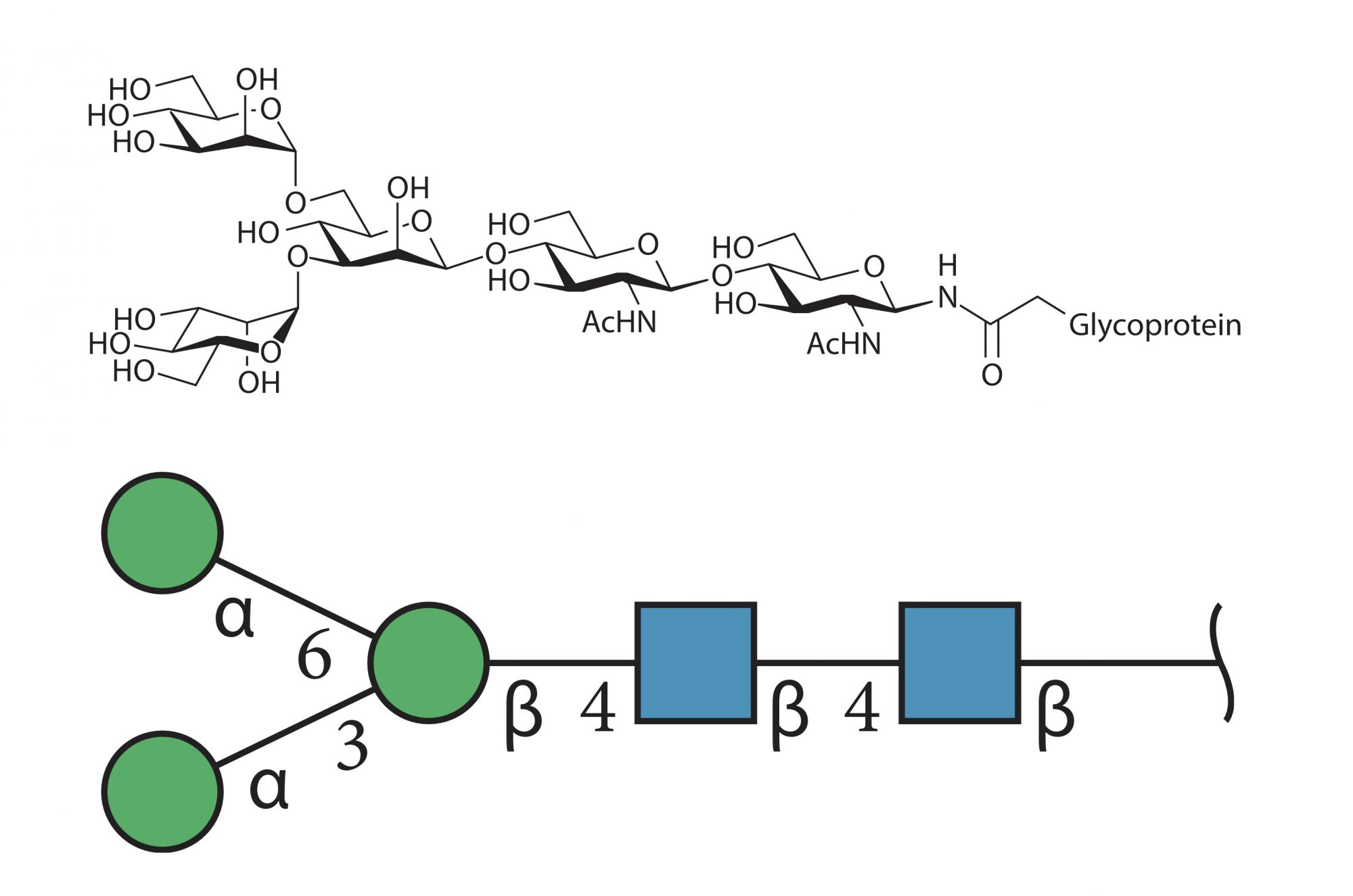 Glycoscience