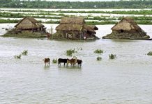 flood mapping tool, agricultural planning