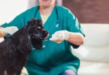 rules on veterinary medicines