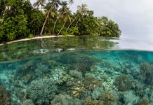 island biodiversity targets