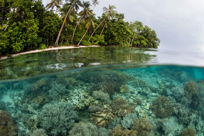 island biodiversity targets