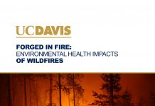 Risk of wildfires, WUI