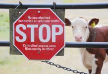 biosecurity programmes