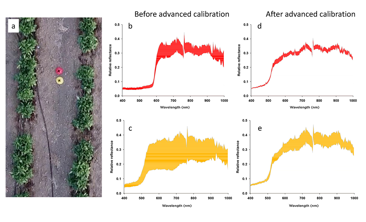 optical sensing, crop management