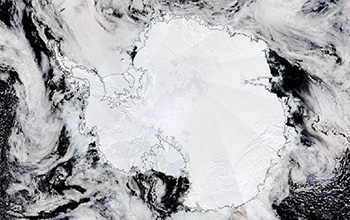 antarctic sea ice