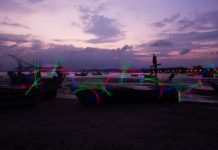 illuminated nets, led fishing