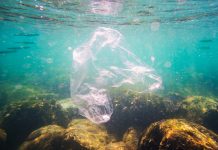 plastic pollution policy