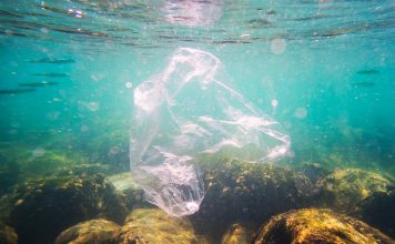 plastic pollution policy
