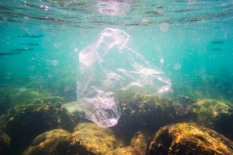 plastic pollution policy