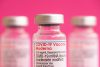 flu covid vaccine, moderna vaccine
