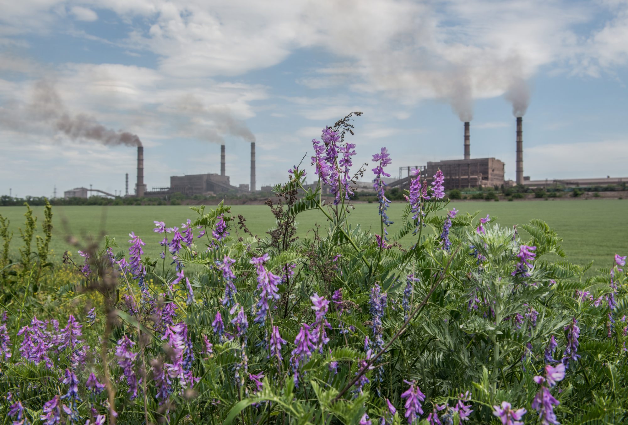 Insects provide pollination of important food crops and native wildflowers, but researchers sought to understand how air pollution affects different p