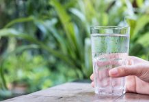 dehydration care homes, dehydration research