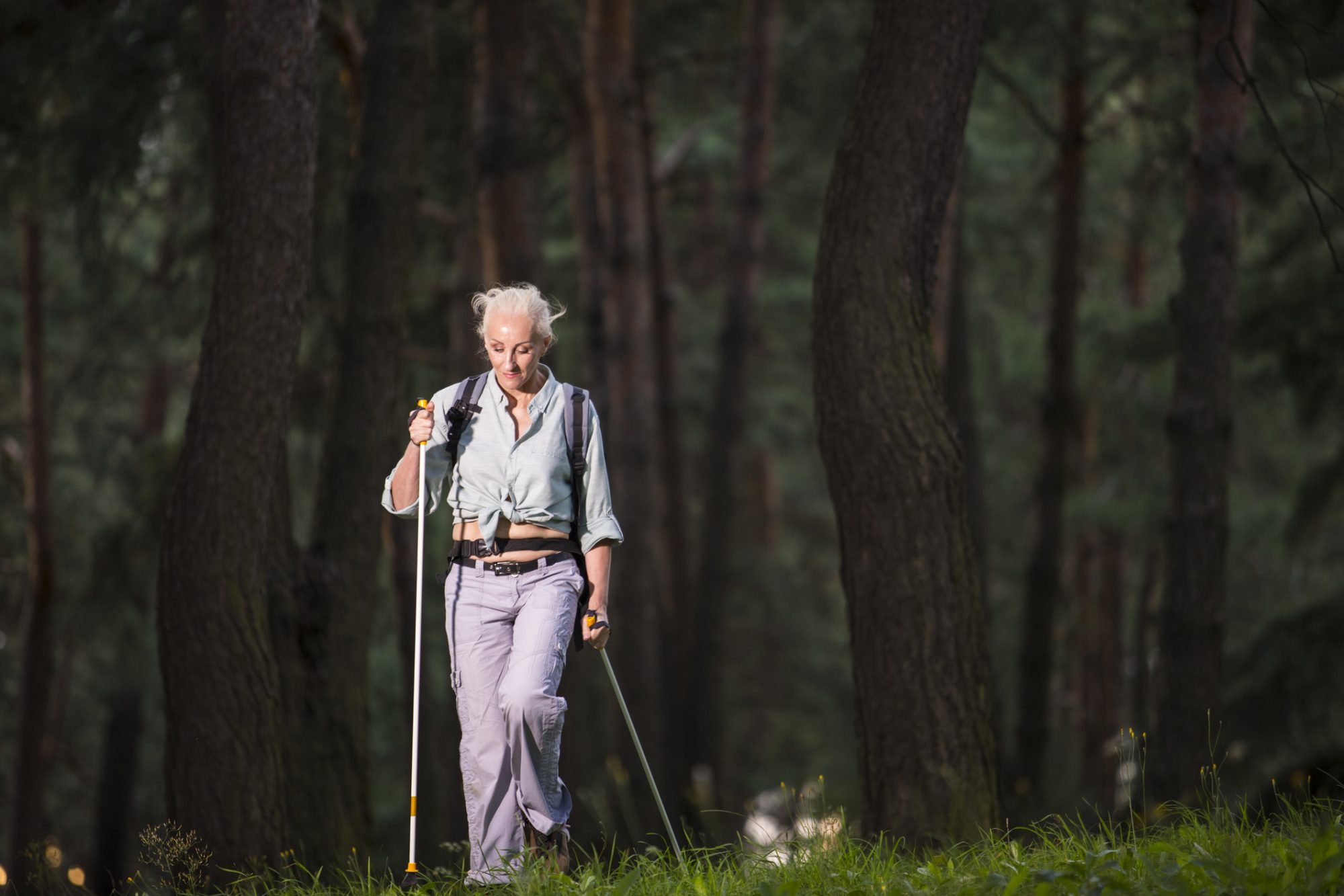 3. Enhanced Cognitive Function
