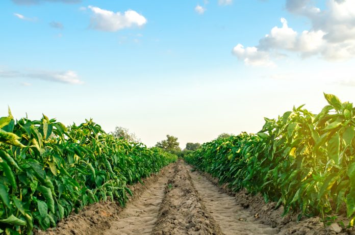 soil health management, agricultural practices