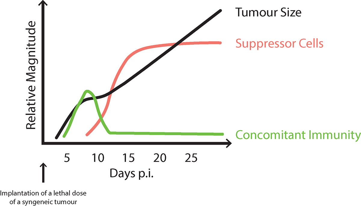 effective cancer immunotherapy, robert north