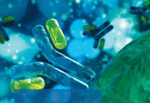 tropical leishmaniases, immunology
