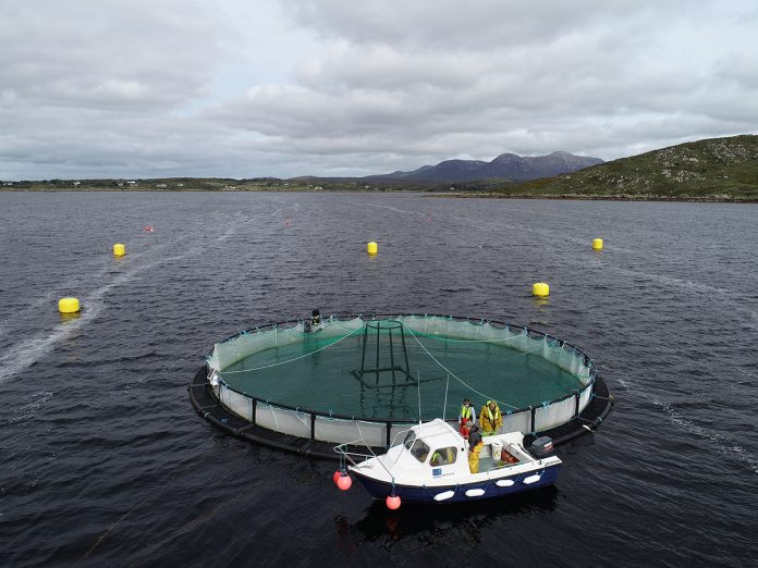 atlantic aquaculture
