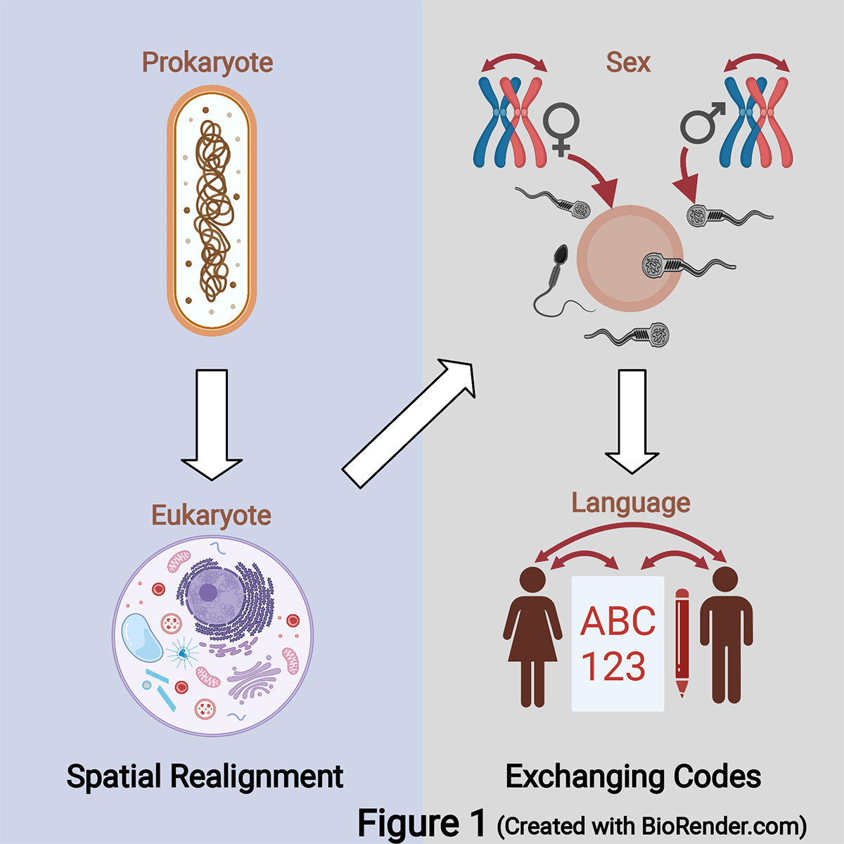 coevolving informatics, evolutionary transitions