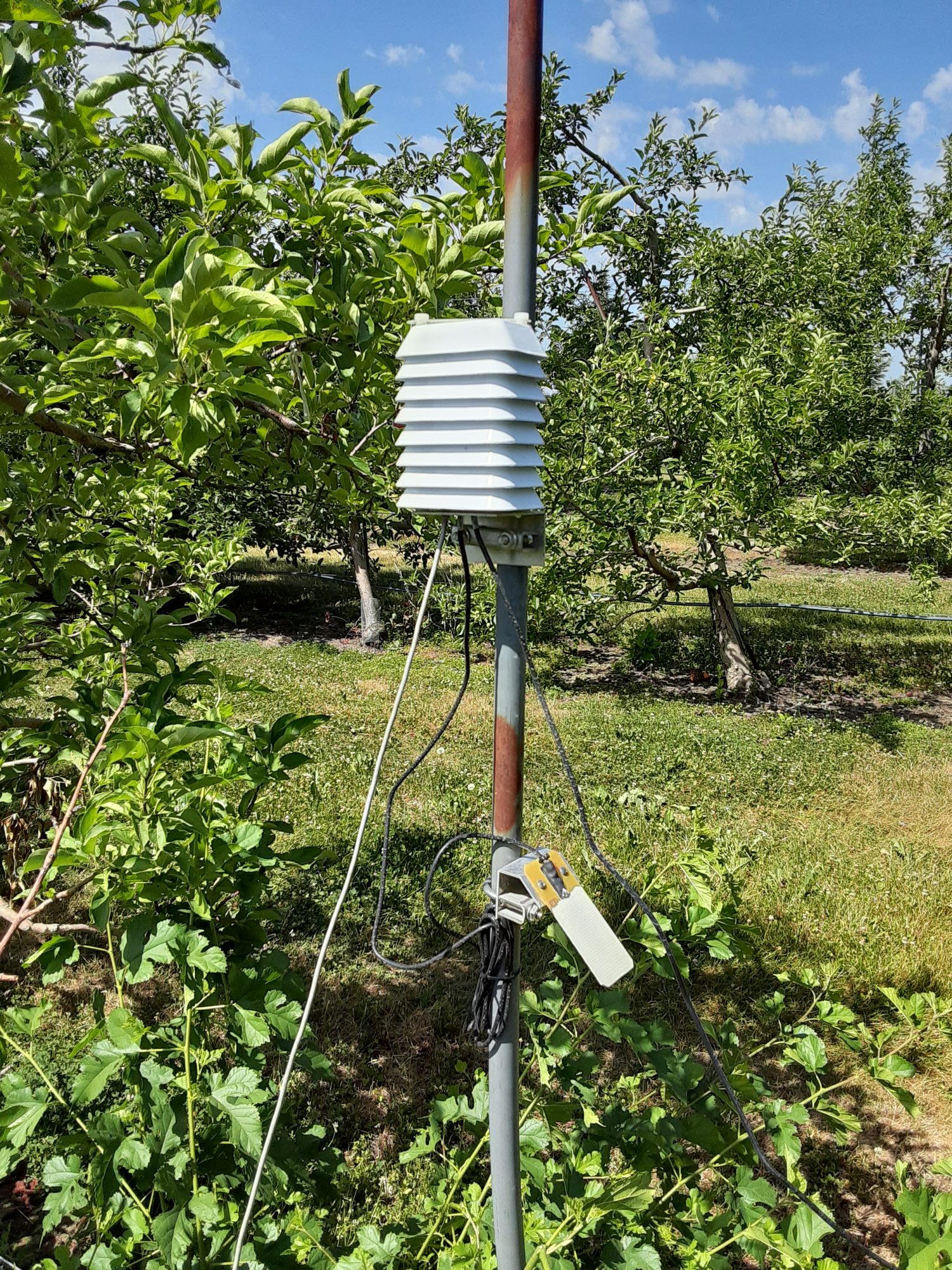 sustainable apple production, pesticide