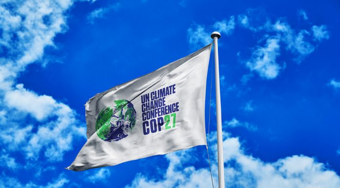 COP27, COP president