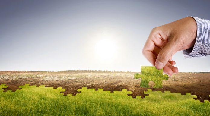 climate change adaptation, Impact Factor