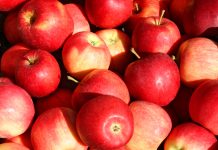 sustainable apple production, pesticide