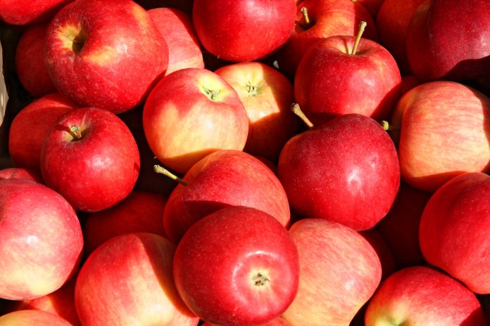 sustainable apple production, pesticide