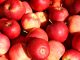 sustainable apple production, pesticide