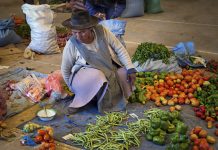 indigenous communities dementia, Tsimane and moseten