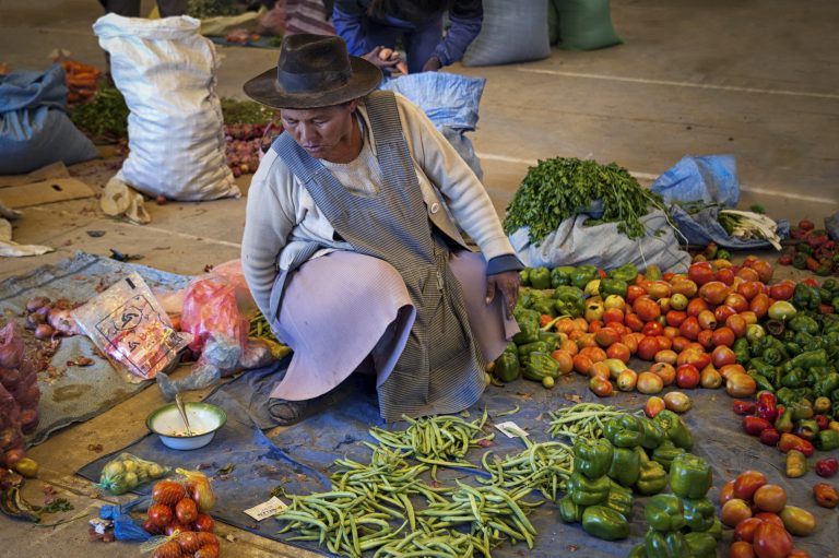 indigenous communities dementia, Tsimane and moseten