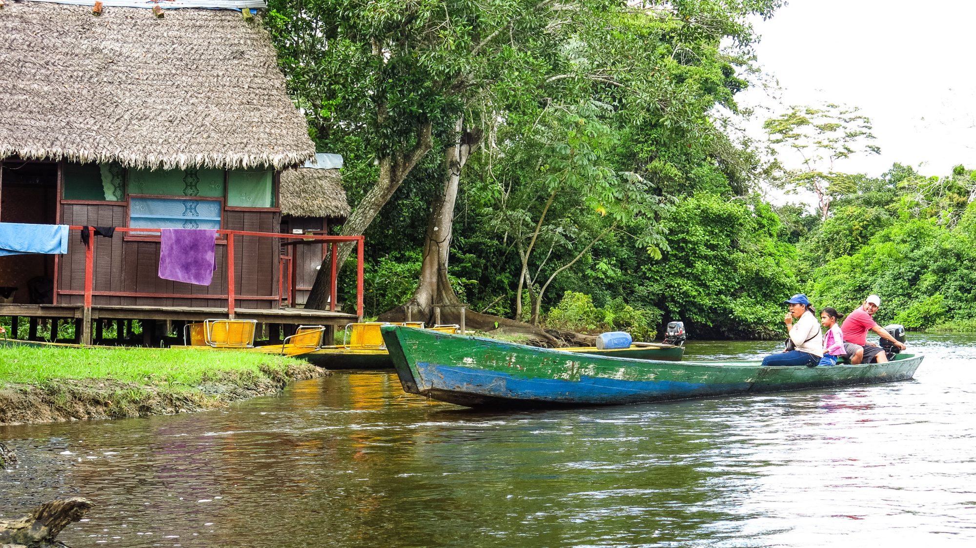 Tsimane and moseten, indigenous communities dementia, dementia in indigenous communities